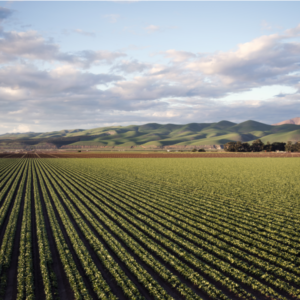 Plant Life Advisors Agriculture