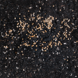 Plant Life Advisors Seed Spreading